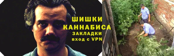 ECSTASY Горняк