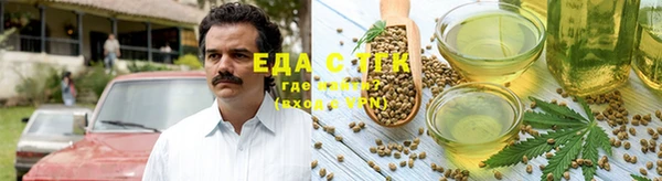 ECSTASY Горняк