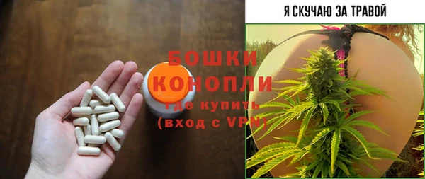 ECSTASY Горняк