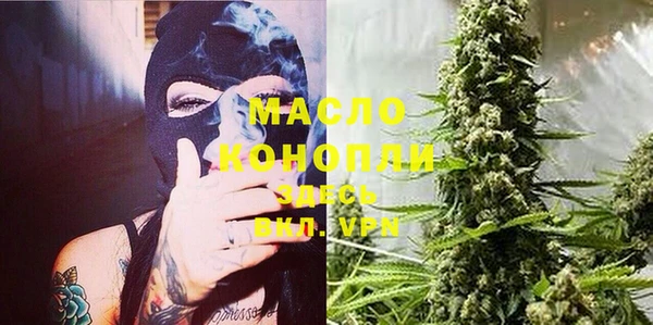 ECSTASY Горняк