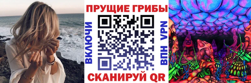 Галлюциногенные грибы Cubensis  blacksprut онион  Фокино  цены  